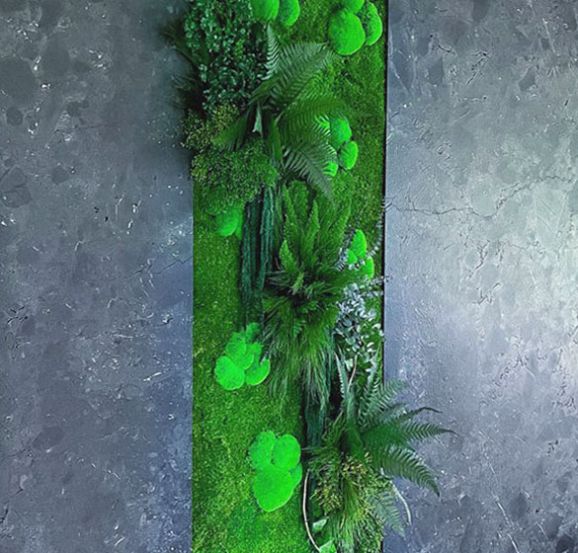 décoration avec des végétaux stabilisés pour entreprise